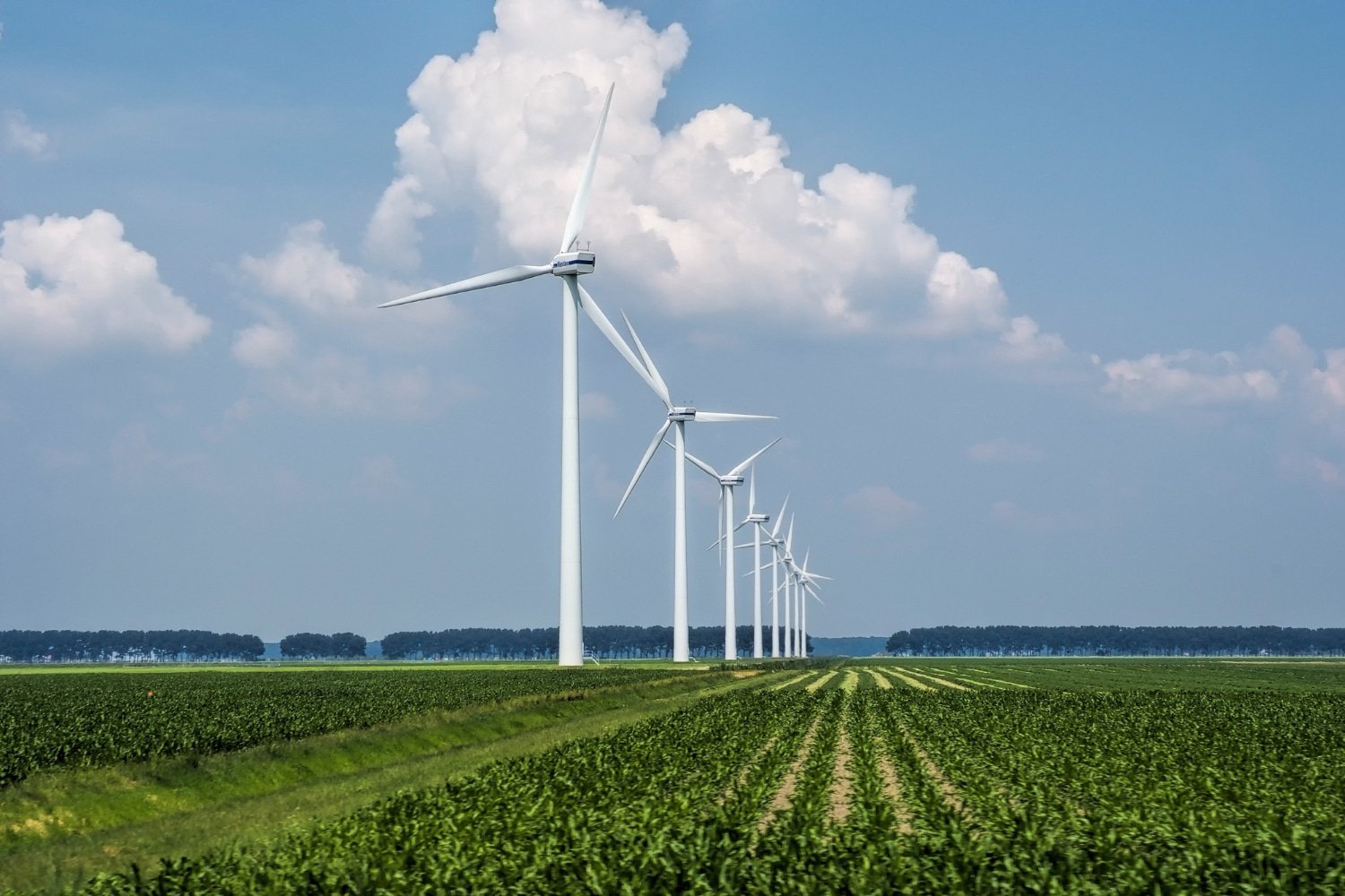 hernieuwbare energie