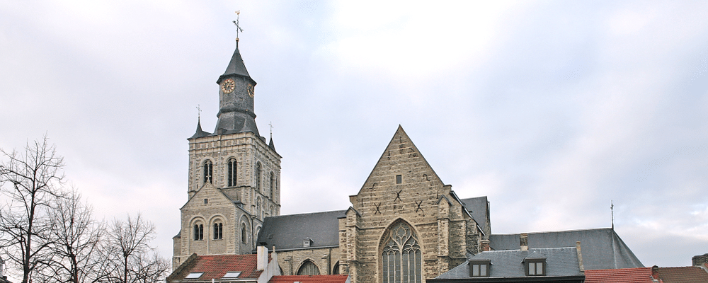 tienen